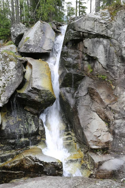 Запуск Гірський Потік Серед Каменів — Stockfoto