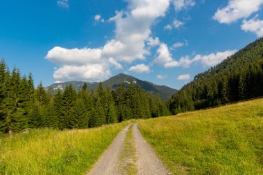 Kök yol boyunca dağlarında çayır ile Landscaoe
