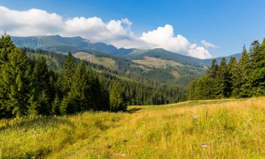güzel dağ manzarası içinde düşük Tatras, Slovakya