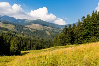 güzel dağ vadisinde düşük tatras, Slovakya ile manzara
