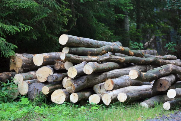 Houten Logs Zijn Opgeslagen Bos — Stockfoto
