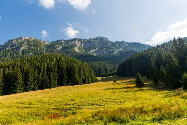 Bonito Paisaje Con Prado Las Montañas Tatras Bajos Eslovaquia —  Fotos de Stock