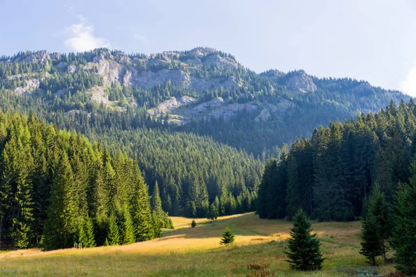 Bel Paesaggio Mattutino Con Prato Bassi Tatra Slovacchia — Foto Stock