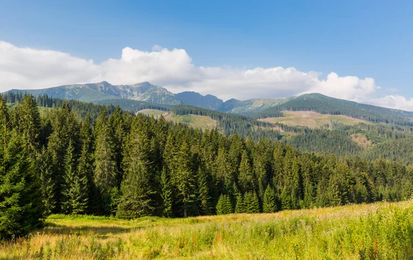 素敵な山の風景 低タトラ山脈 スロバキア — ストック写真