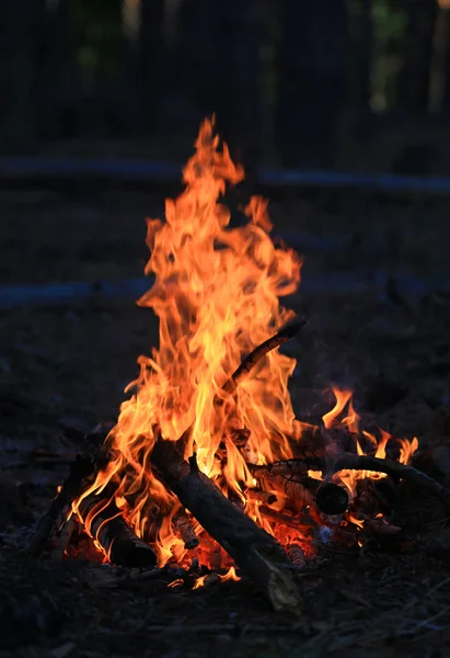 Flamme Des Feuers Der Dunkelheit — Stockfoto