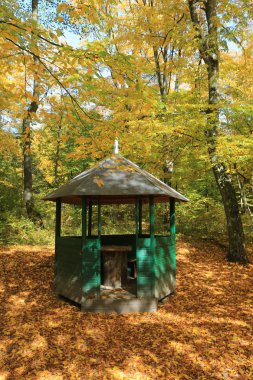 Eski gadzebo Sonbahar Park