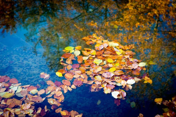 Herbstlaub Auf Der Wasseroberfläche Des Sees Abstrakter Hintergrund — Stockfoto
