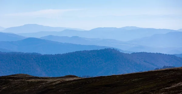 Scena Mattutina Nelle Montagne Dei Carpazi — Foto Stock