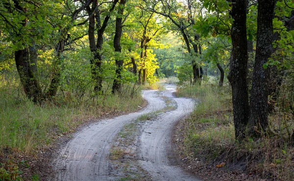 Landschaft Mit Landstraße Wald — Stockfoto