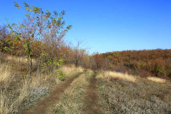 Landschaft Mit Landstraße Auf Trockener Herbstwiese Wald — Stockfoto