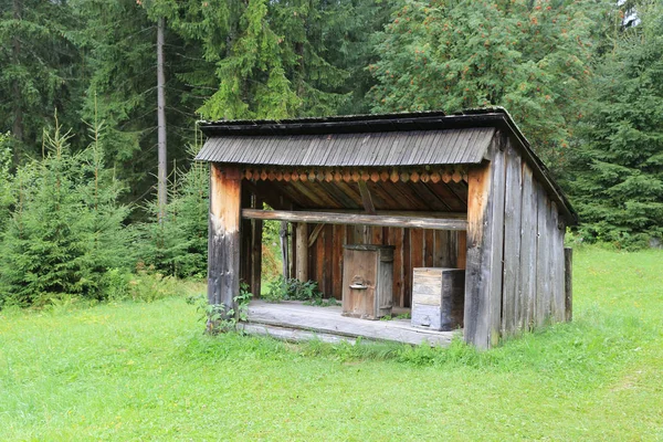 在斯洛伐克森林中的一个养蜂场里的古色古香的木蜂箱 — 图库照片