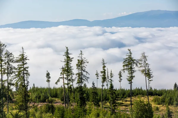 スロバキアのタトラ山谷の朝の霧 — ストック写真