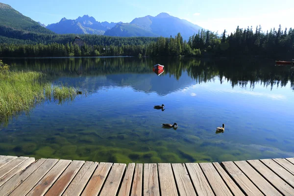 Ochtend Scène Bergmeer Tatra Slowakije — Stockfoto