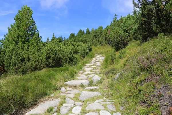 Steinweg Den Bergen Slowakei — Stockfoto