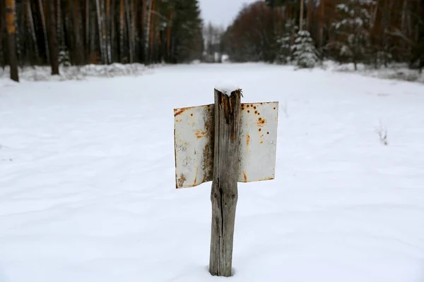 Starý Plech Dřevěný Sloup Zimním Lese — Stock fotografie