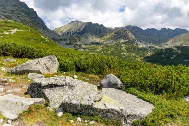 Güzel dağ sahne üzerinde yeşil dağ tarafı, Slovakya'da Tatras eski taşlarla