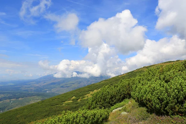 Zielonym Zboczu Góry Dzień Summy Słowacja Tatry — Zdjęcie stockowe