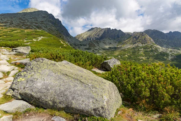 Escena Montaña Verano Tatras Eslovaquia — Foto de Stock
