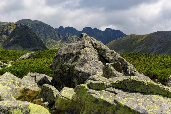 Landschap Met Oude Stenen Tatra Gebergte Slowakije — Stockfoto