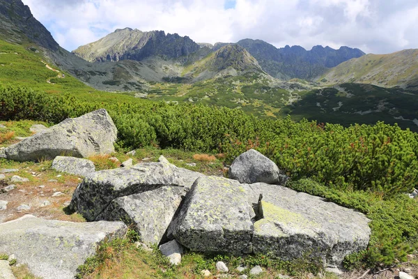 Βουνό Σκηνή Αρχαίες Πέτρες Πράσινο Λιβάδι Tatras Στη Σλοβακία — Φωτογραφία Αρχείου