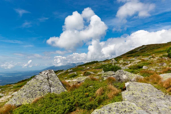 Пейзаж Камнями Зеленом Горном Лугу Красивым Небом Словакия Татры — стоковое фото