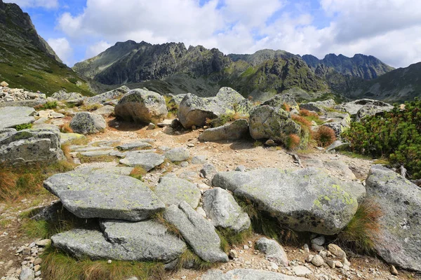 Landschap Met Stenen Bergen Tatra Slowakije — Stockfoto