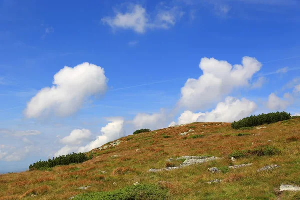 Tepe Üzerinde Çayır Üzerinde Mavi Gökyüzünde Bulutlar Ile Güzel Manzara — Stok fotoğraf