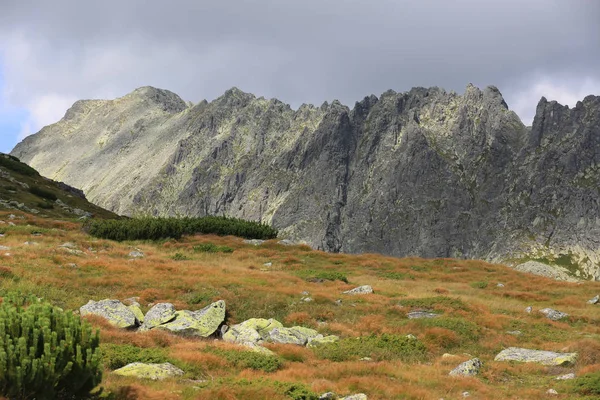 Alte Steine Auf Einer Wiese Der Hohen Tatra Slowakei — Stockfoto