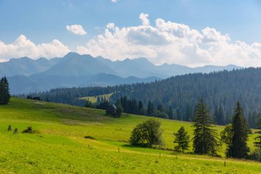 yeşil dağ ile güzel bir manzara mera Tatras içinde