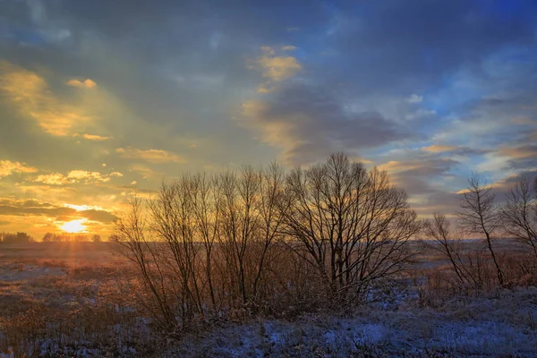 Winterszene Auf Der Wiese Frühen Morgen — Stockfoto