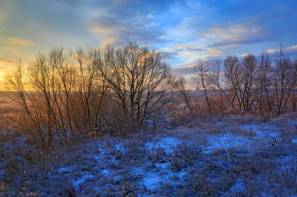 Ранним Утром Пейзаж Над Зимним Лугом Степи — стоковое фото
