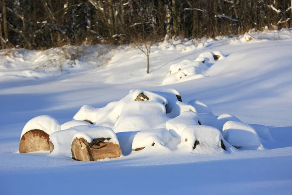 Houten Logboeken Onder Sneeuw Weide Bos — Stockfoto