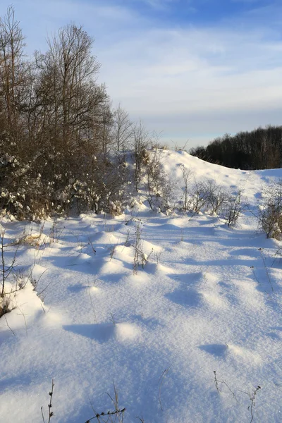 Paisagem Inverno Com Prado Floresta — Fotografia de Stock