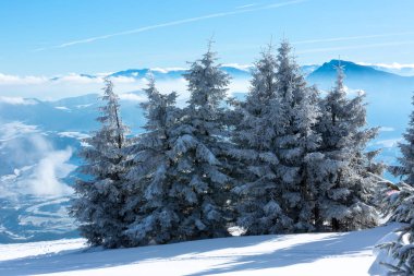 Kış Kayak resork dağlardaki ağaçları