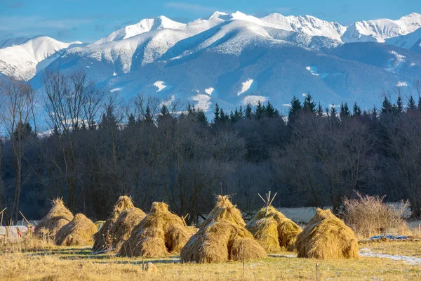 冬の山草原の干し草の山 — ストック写真