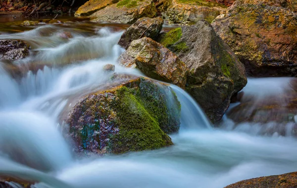 Wet Stones Green Moss Mountain Stream — Stock Photo, Image