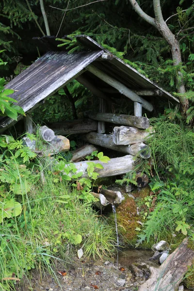 Piccola Casa Legno Sulla Sorgente Acqua Nella Foresta Verde — Foto Stock