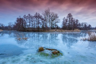 Kış orman içinde donmuş nehir üzerinde dramatik eveniong sahne
