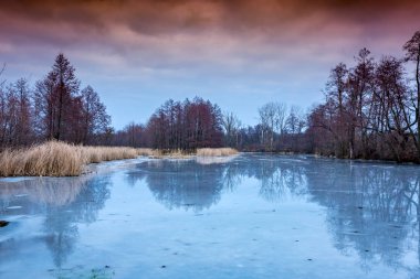 ormandaki donmuş göl sahnesinde kış anda akşam