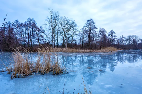Paesaggio Con Vecchio Lago Ghiacciato Nella Foresta Invernale — Foto Stock