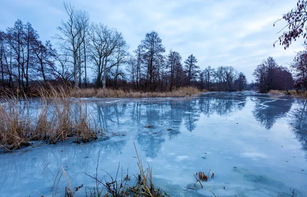 Scena Seară Lac Înghețat Pădure — Fotografie, imagine de stoc