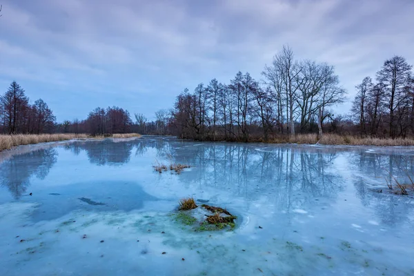 场景与冻结的河流在冬季森林 — 图库照片