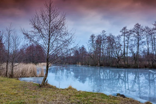 Eau Gelée Sur Rivière Forêt Hivernale — Photo