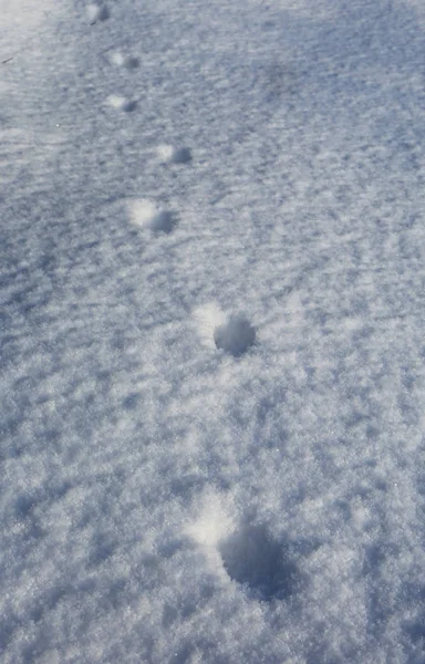 Abstracte Voetafdrukken Sneeuw Oppervlak — Stockfoto