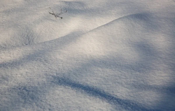 抽象的天然基布场与雪面 — 图库照片