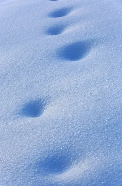 Empreintes Abstraites Sur Surface Neige Bleue — Photo