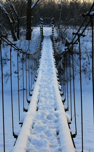 冬の森の川に架かる歩道橋のある風景します — ストック写真