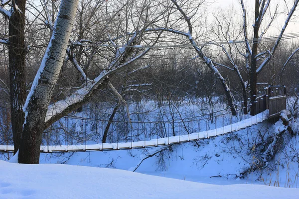 Liten Bro Vinter Skog — Stockfoto