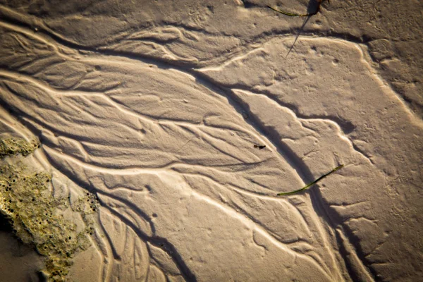 Våt sand vid havets strand — Stockfoto