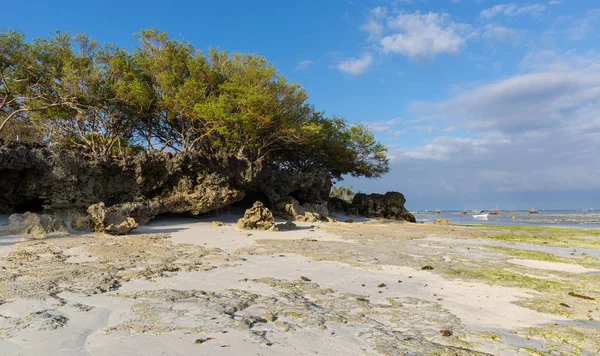 Stranden efter lågvatten — Stockfoto